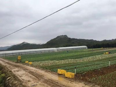 种植基地
